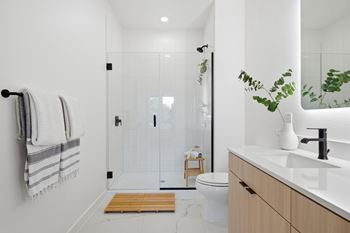 Frameless glass walk-in shower*